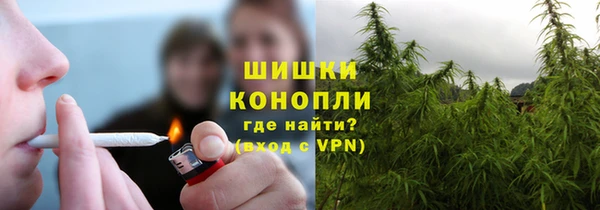 ешки Арсеньев