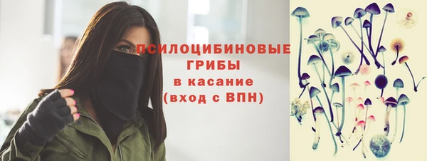 ешки Арсеньев