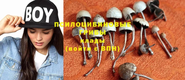 ешки Арсеньев